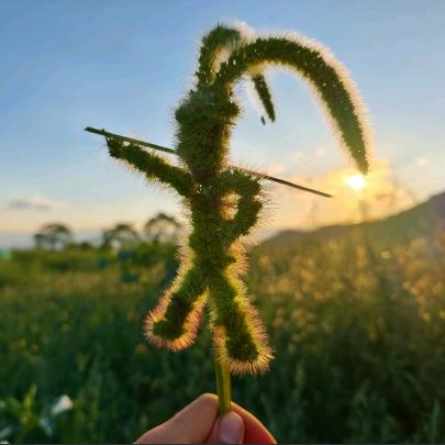 北京硕信达工程有限公司