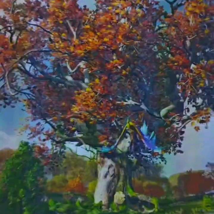 湾南阿坤百货直播号