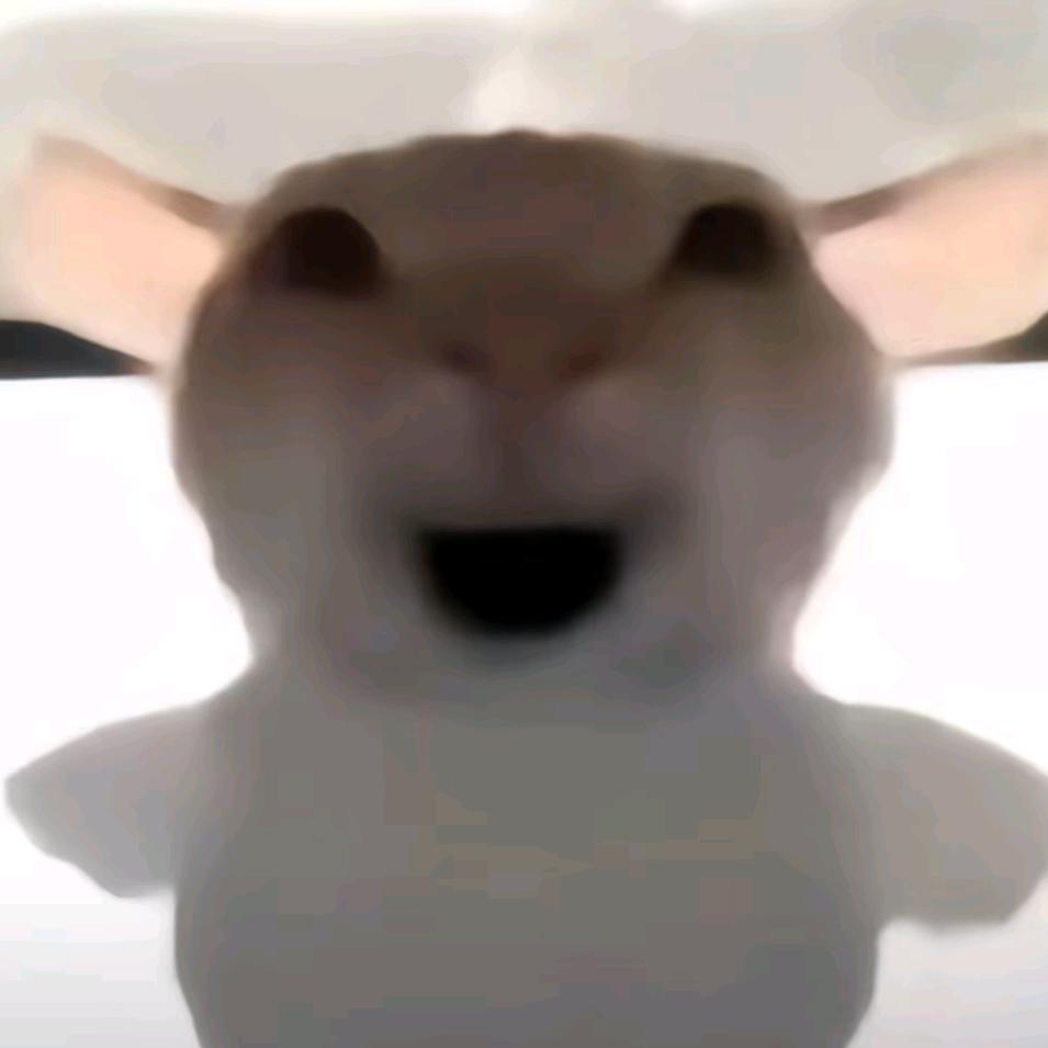 蛋damn