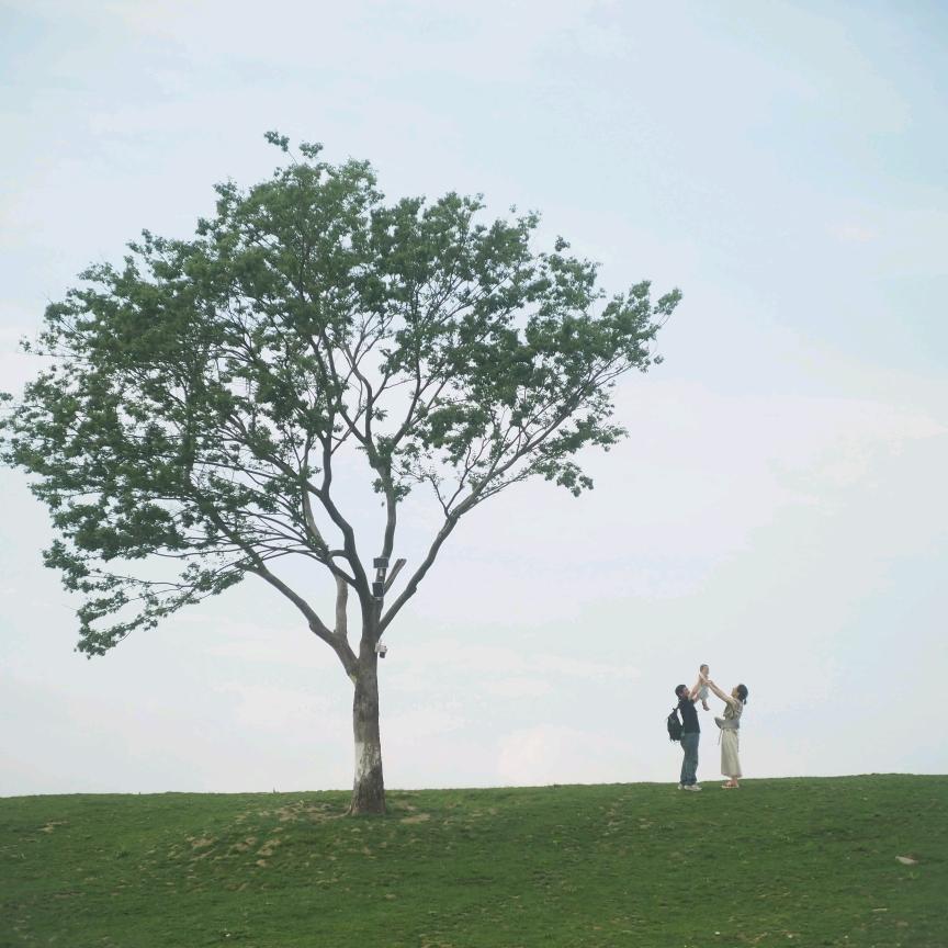 小葫芦的大世界