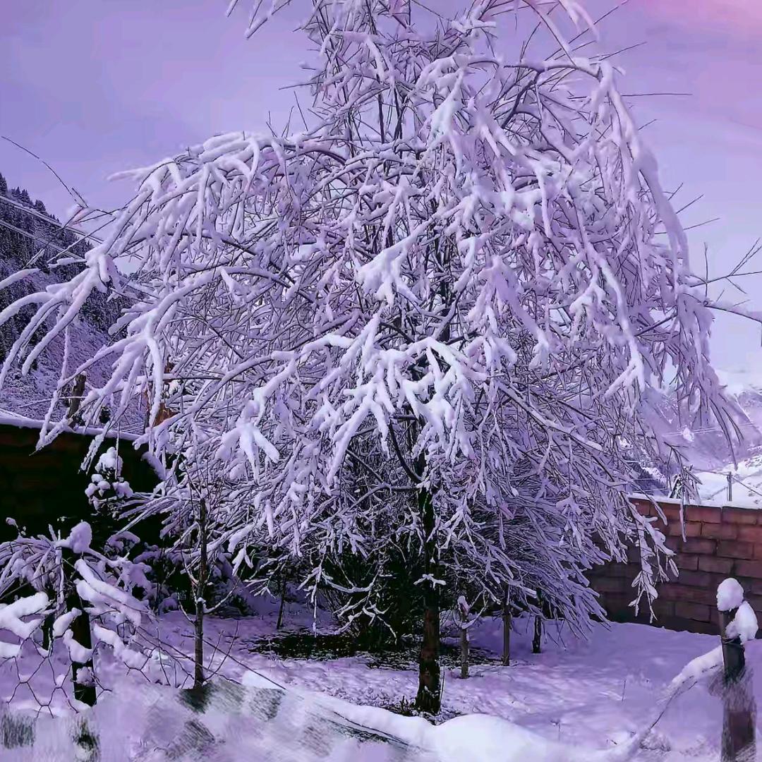 ࿐___ཨ་སྲས།