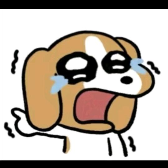 阿狗.ฅ.ˢ