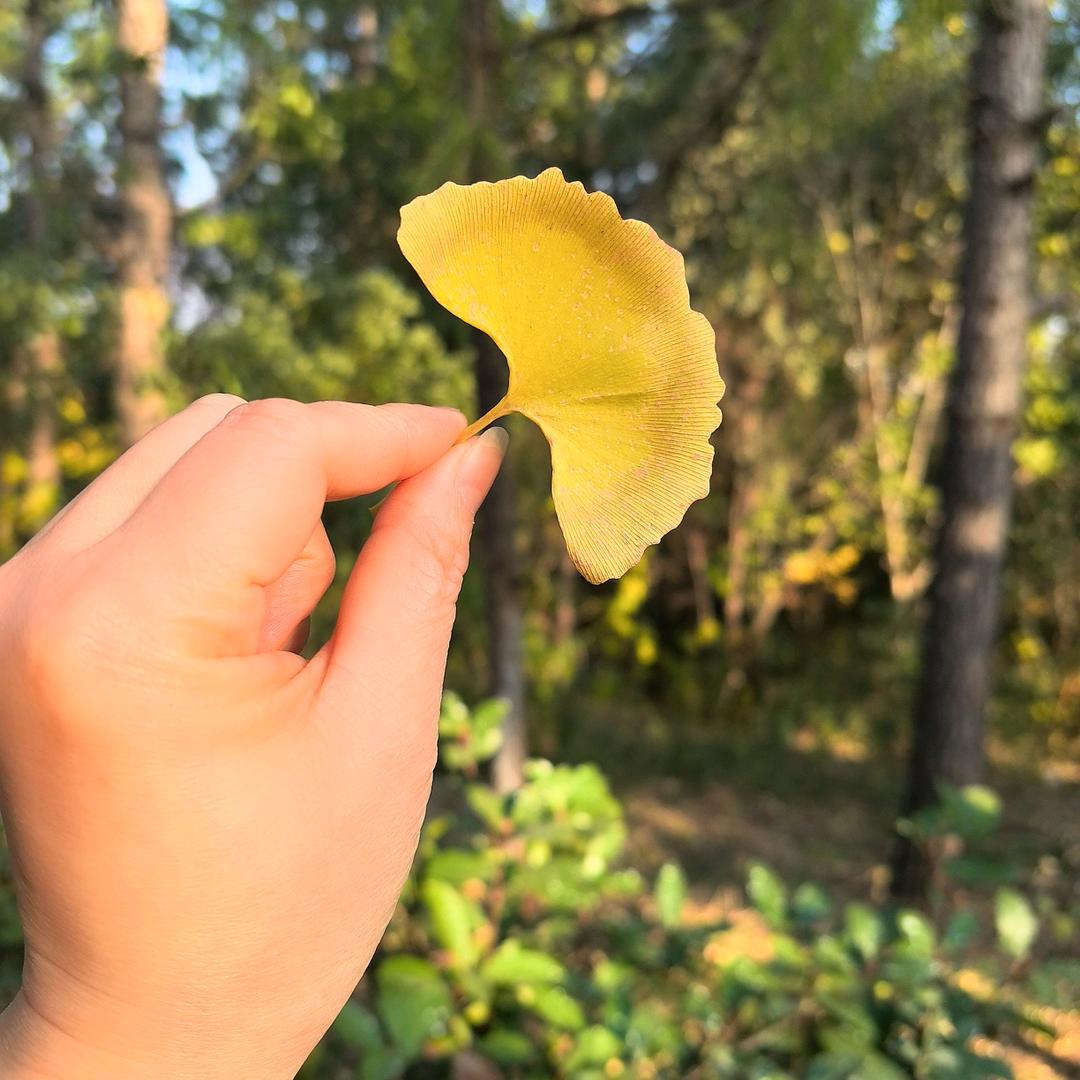一碗小米周🧚🏻‍♀️