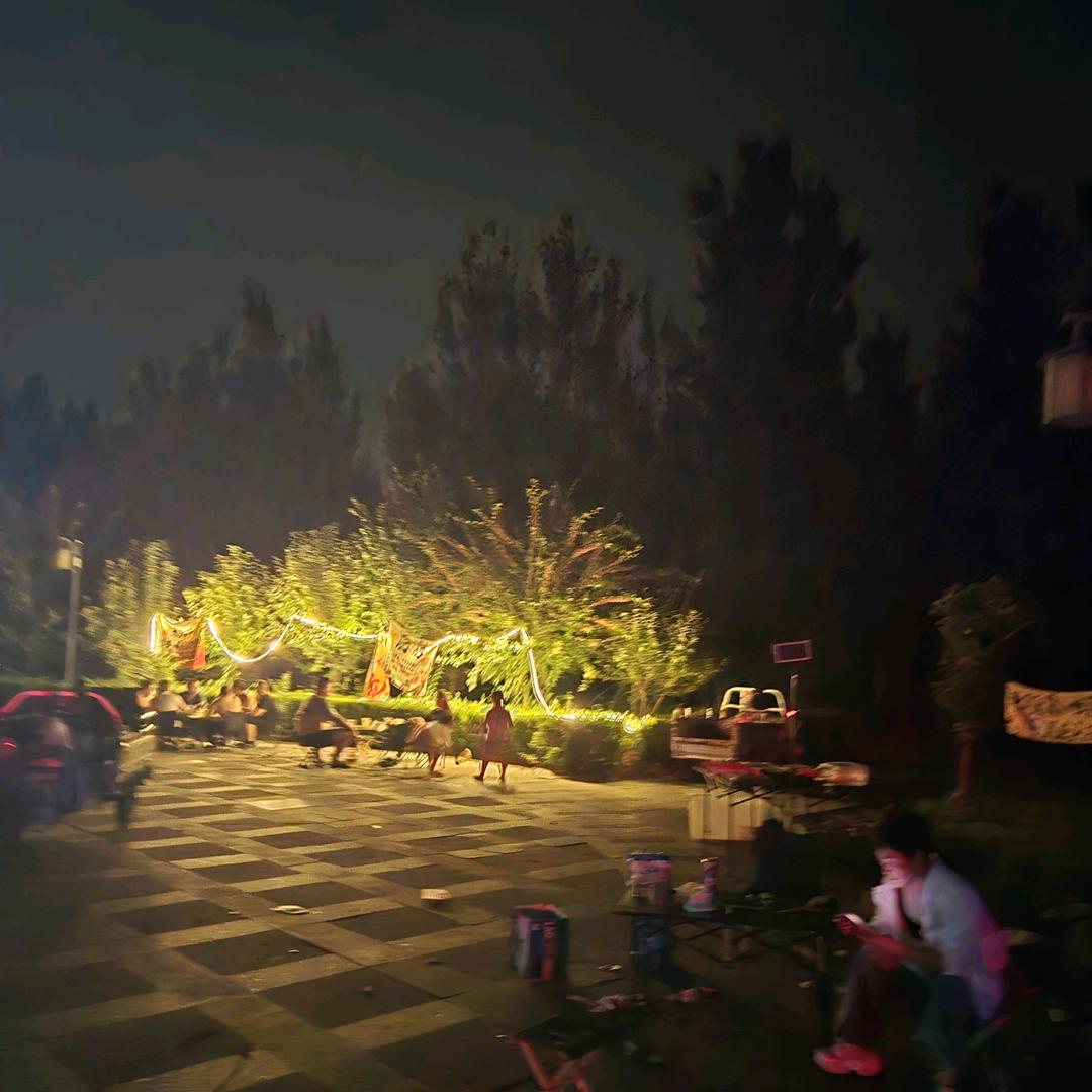 赵县原味烧烤（溜达串）