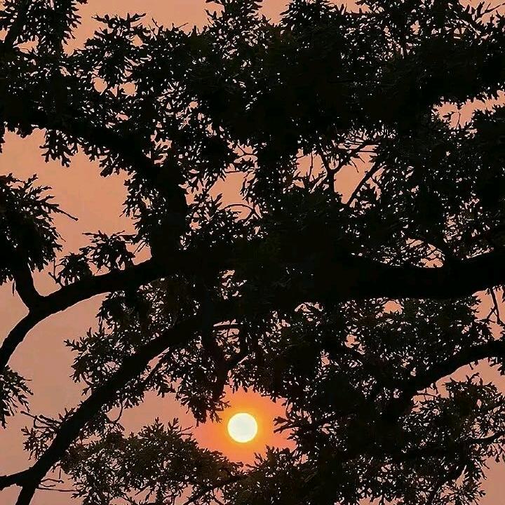 临沂新捷飞物流有限公司