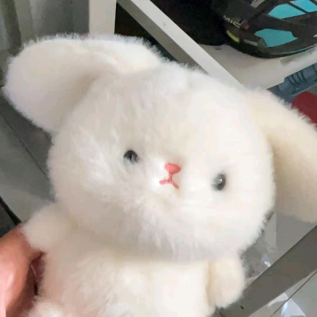 极品双面龟（三角洲）