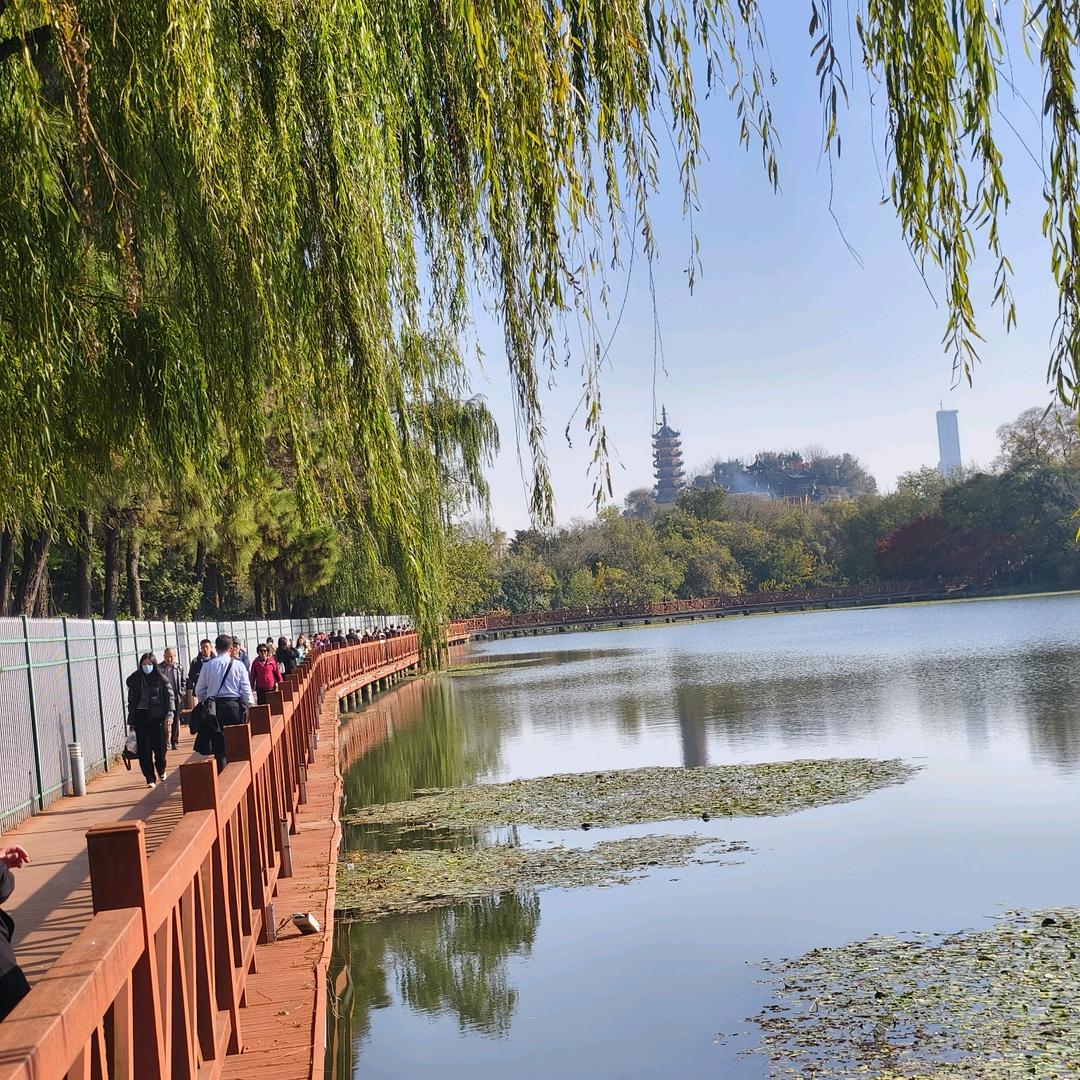 良辰美景