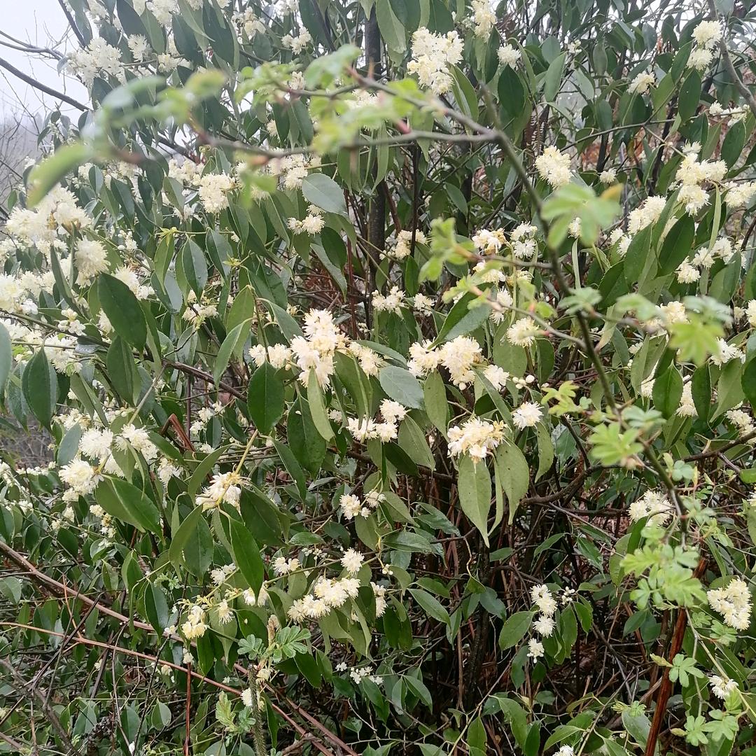 我是一个农民工224477