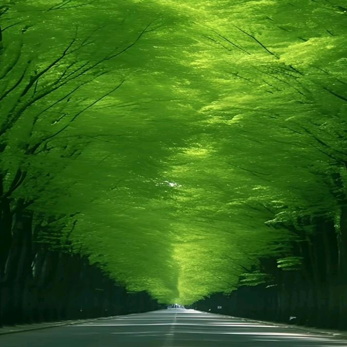 大眼睛