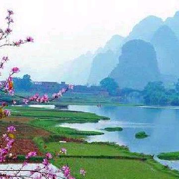 🌹🌹🌹满天星🌟🌟🌟