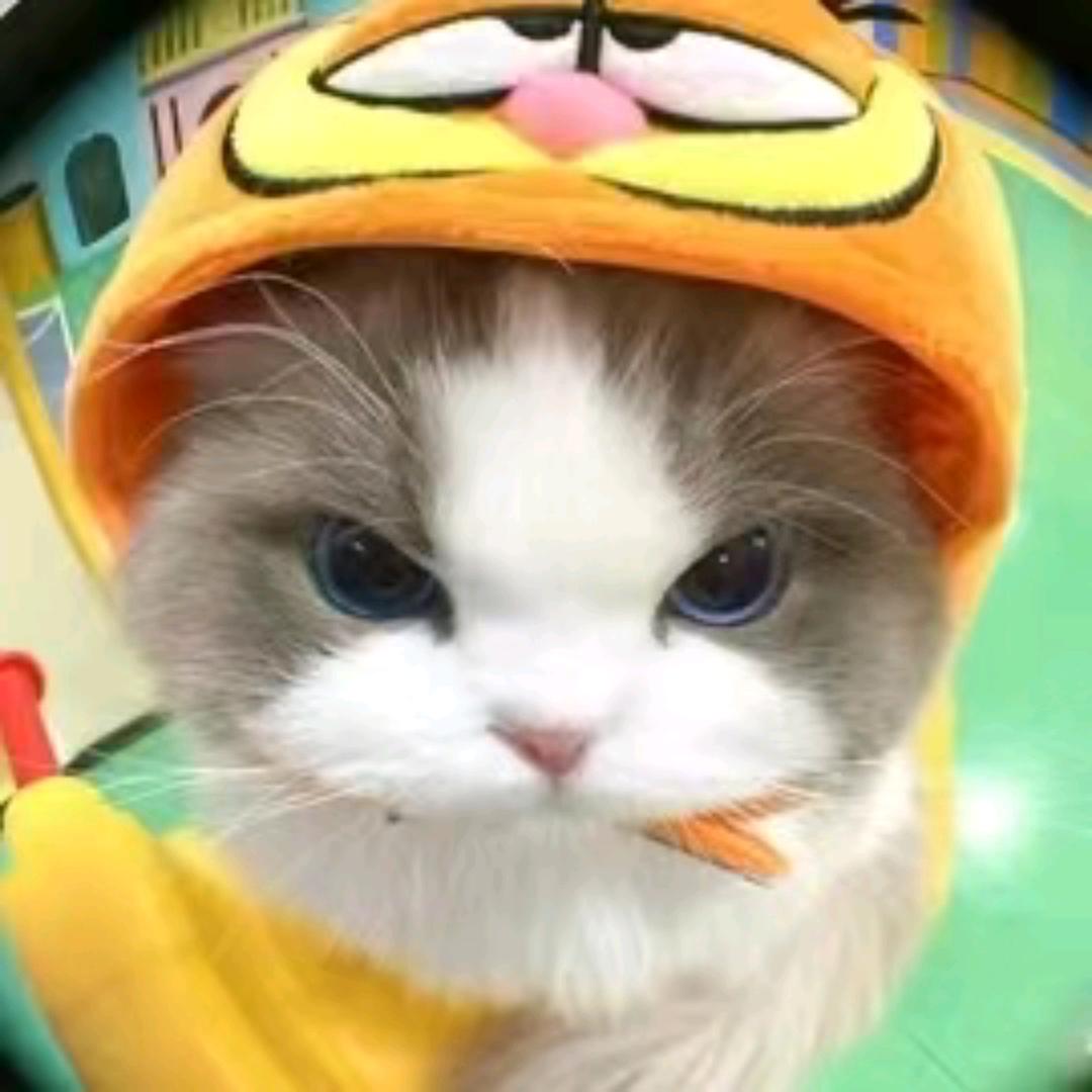 麦哭幺