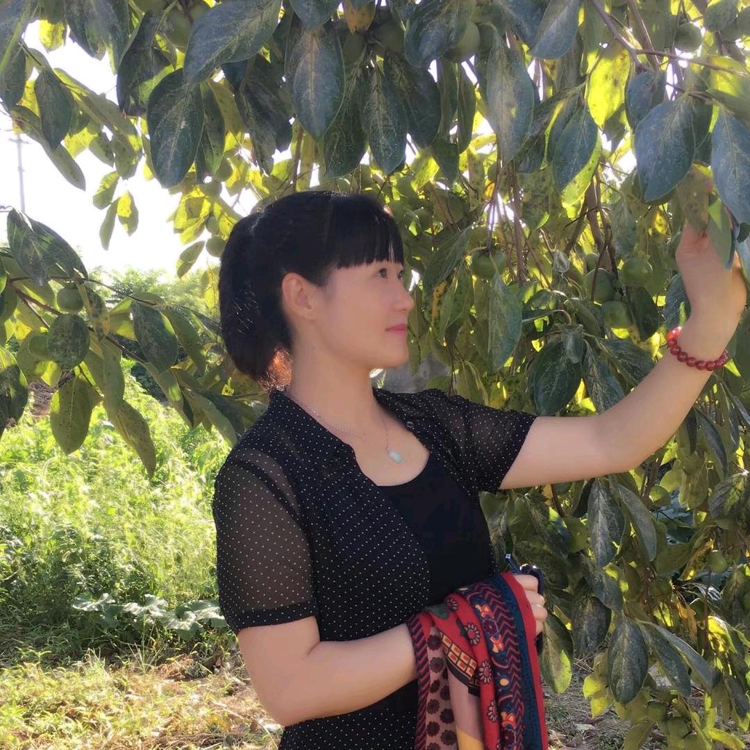 含羞草