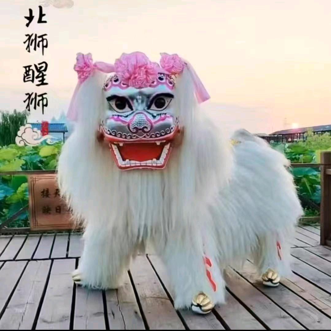 漯河陈三舞狮团
