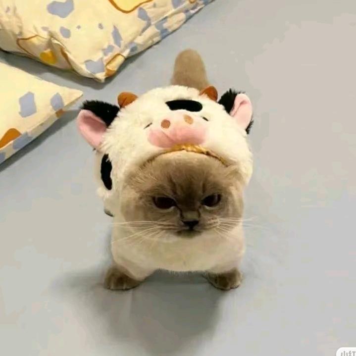 🥭过敏