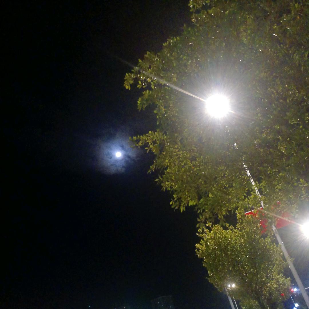 空闲时分