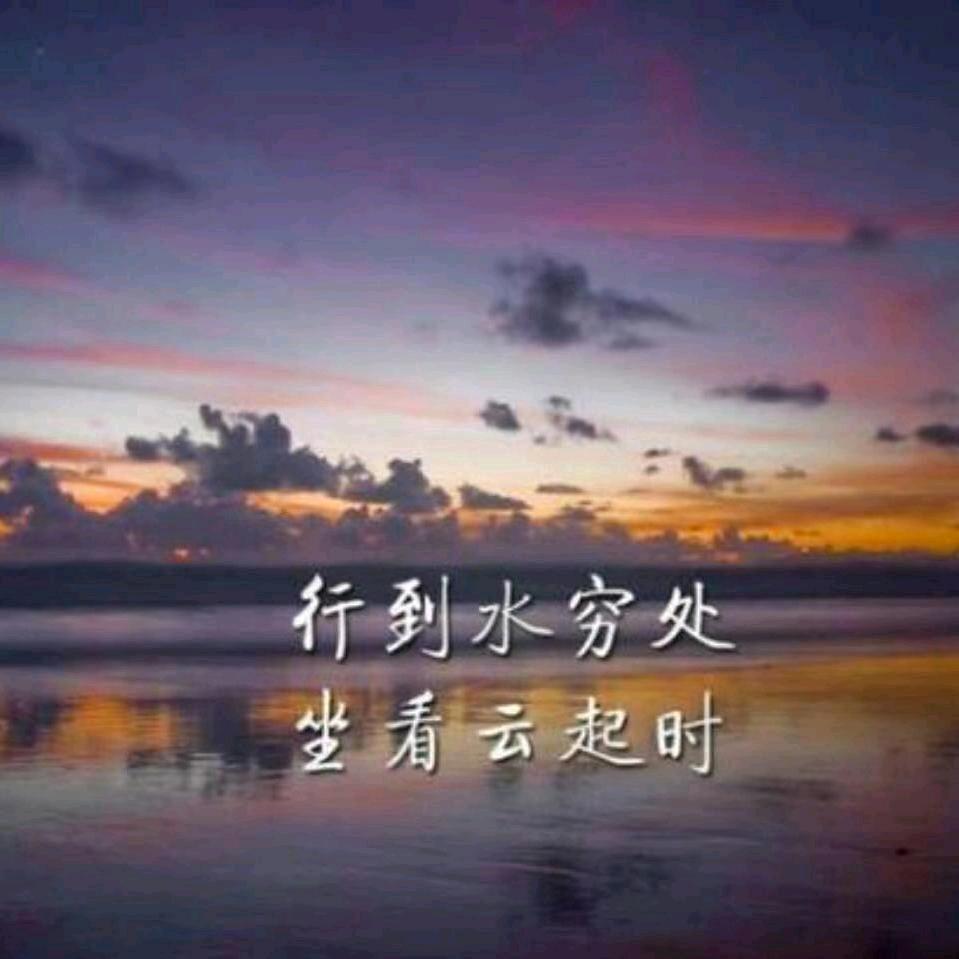 羽落离殇