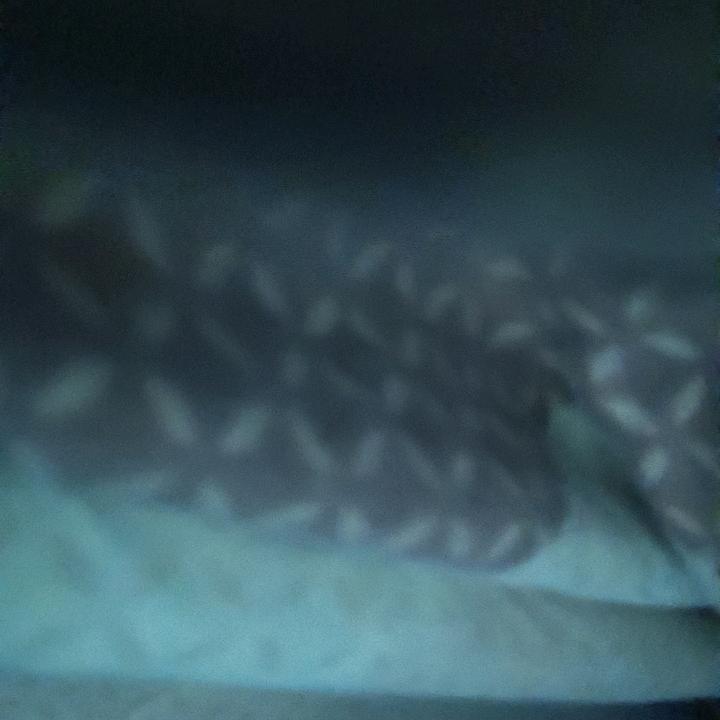 没心没肺的活着