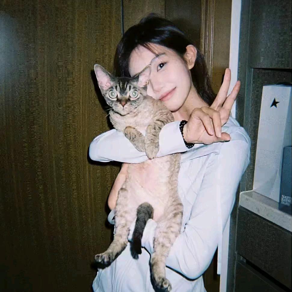 ︋︋︋︋︋   ㅤㅤㅤㅤ