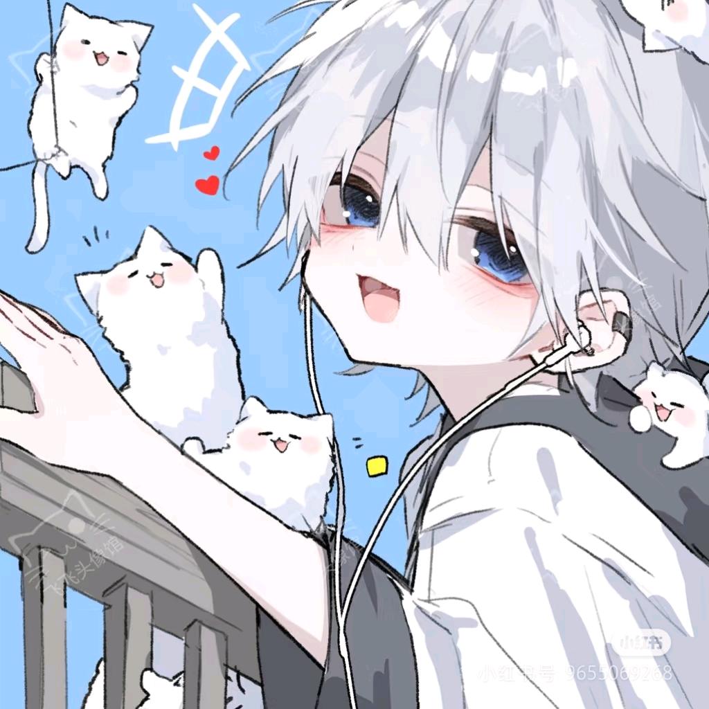 猫不疑（AN动画的神）