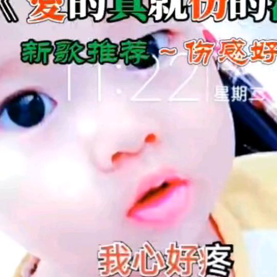 何j琴