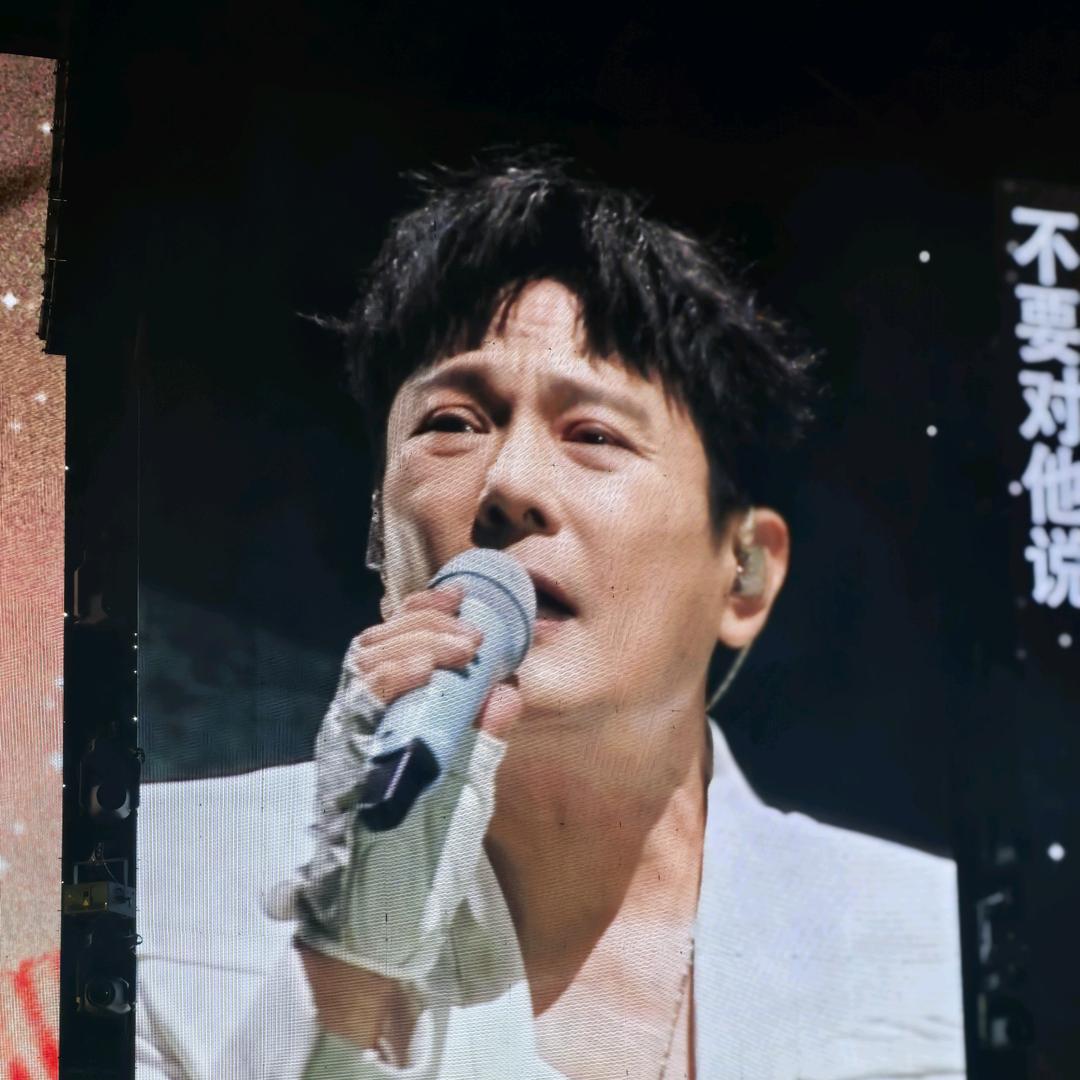 裸奔的大象