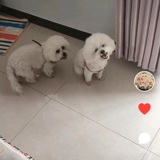 笑一笑，十年少