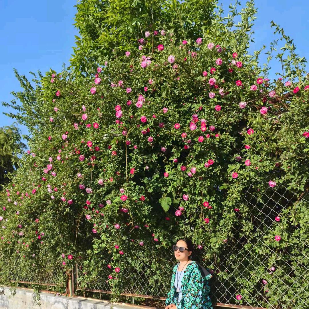 不发脾气只发财