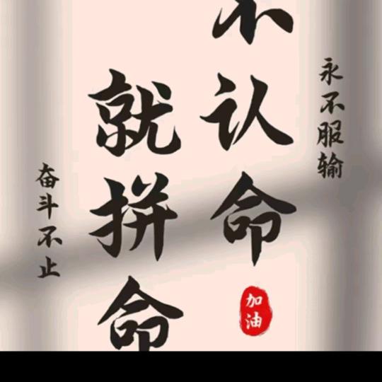 彬宝