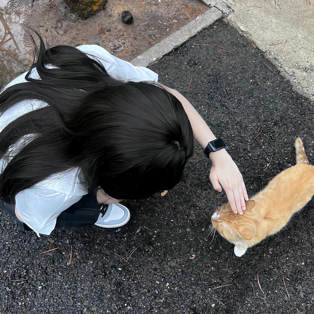 苏叶