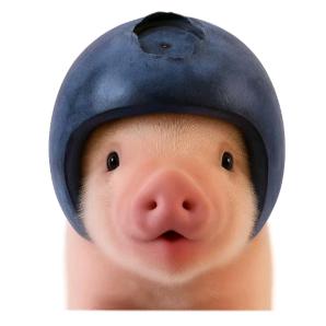 ᵧy