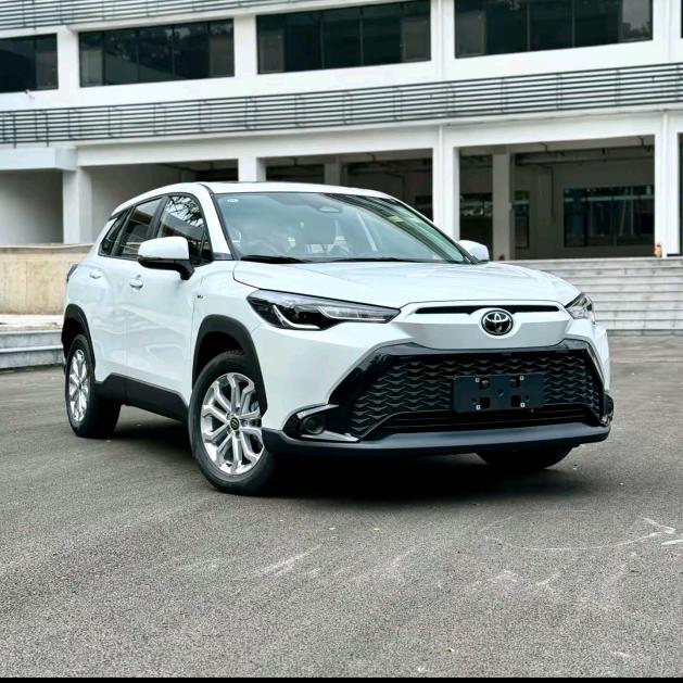 锋兰达最新行情