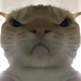 也不错头像