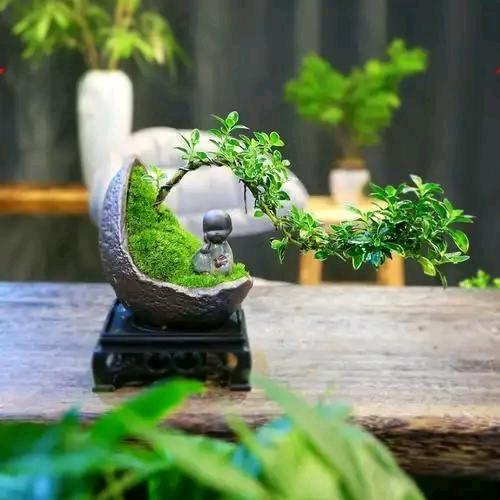 超哥说千川淘越文化传媒