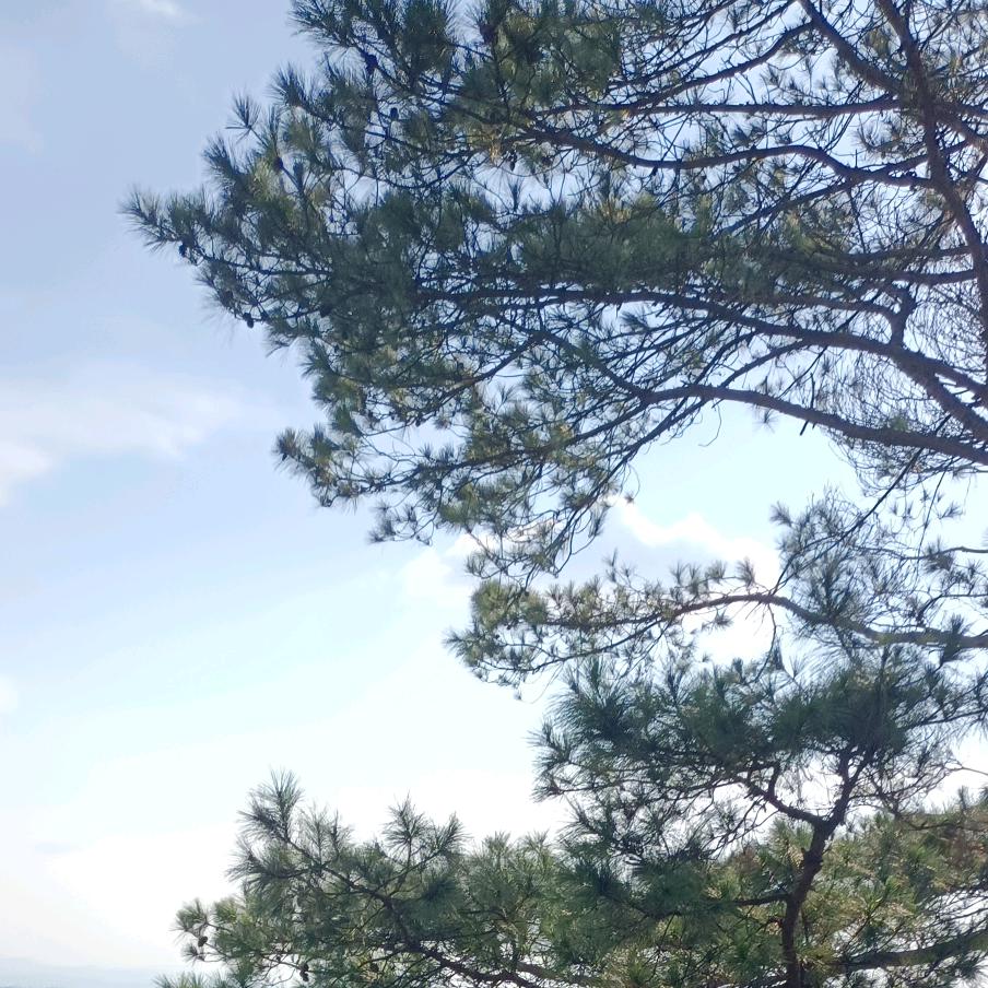 月儿湾湾
