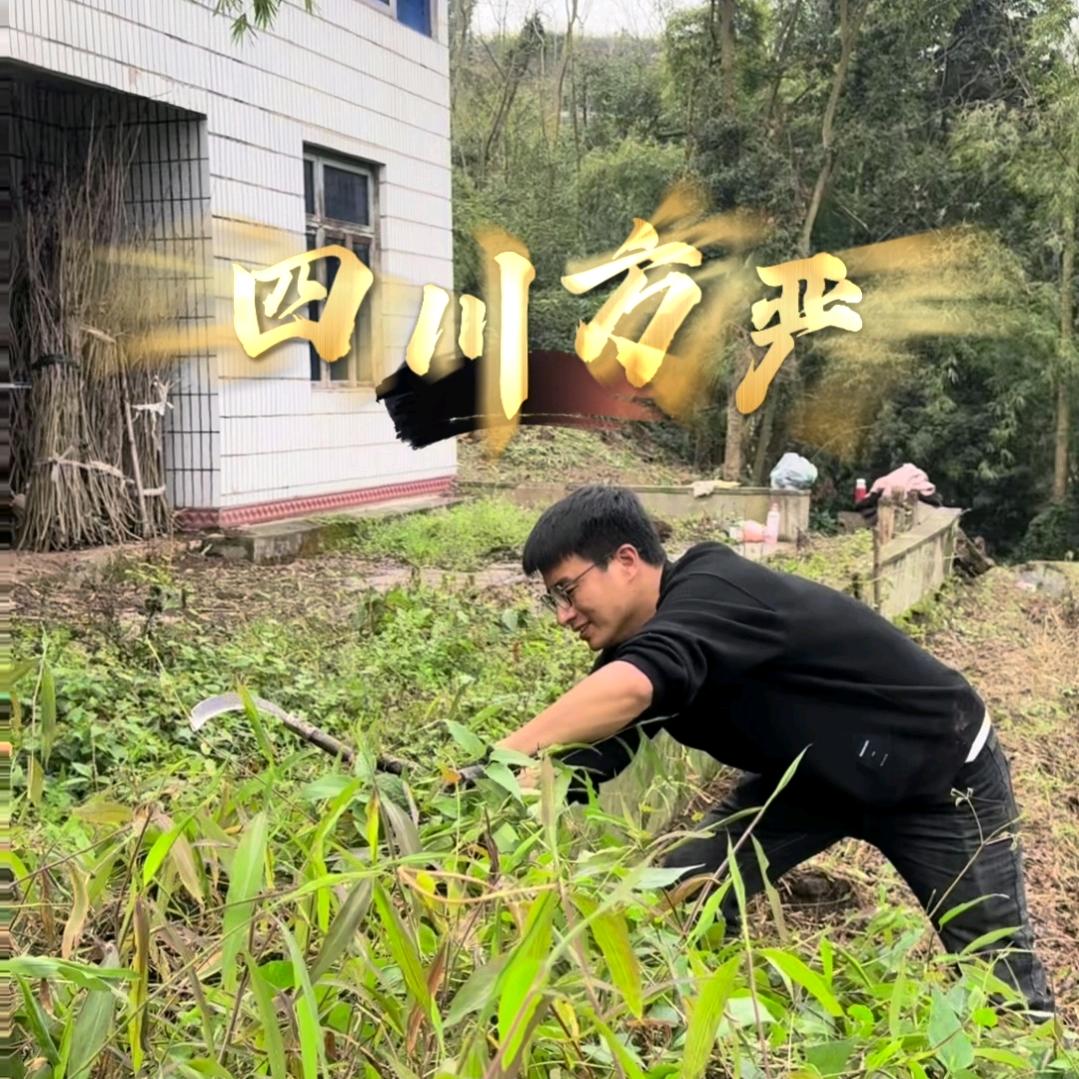 四川方严（乡村版）