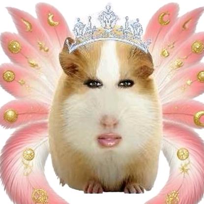 🍀ξ.四叶ぶ草.🍀