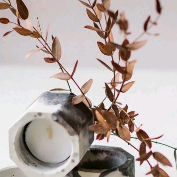 ᰔᩚ᭄🥀岁月ℛ无痕꧔ꦿᩚ࿐