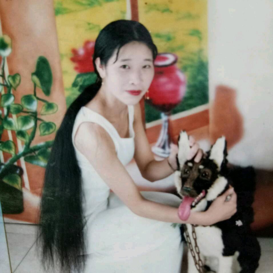 群英三妹（不定时开播）