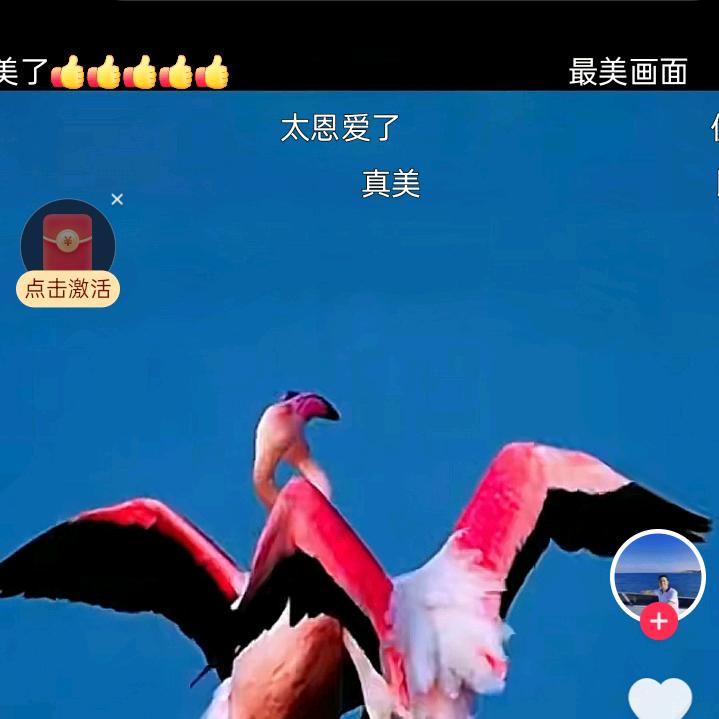 往事🐉归零🙀愿做🦋人间🐯逍遥客
