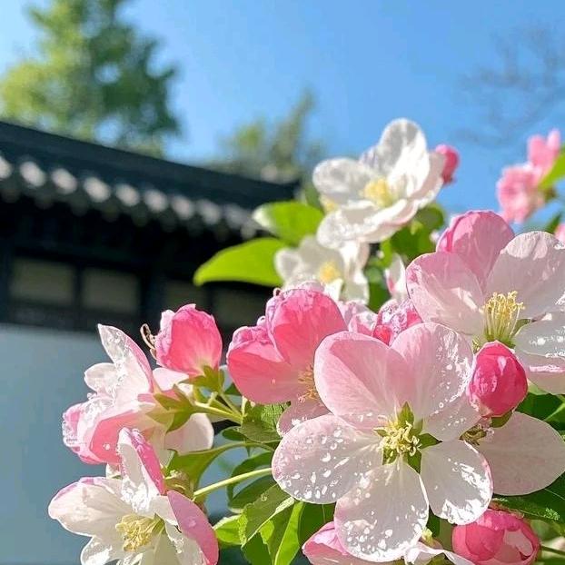 海顺优品