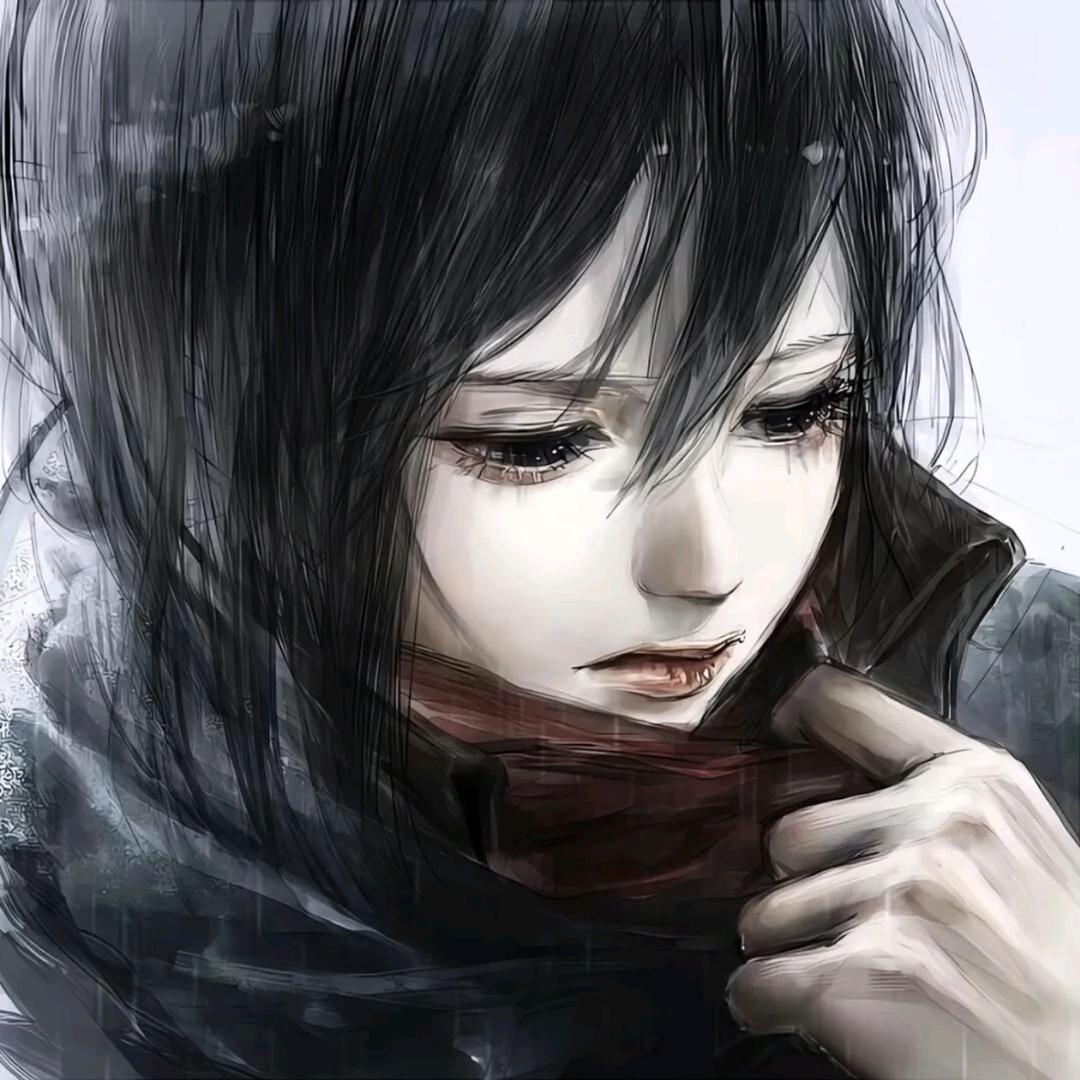 Mikasa