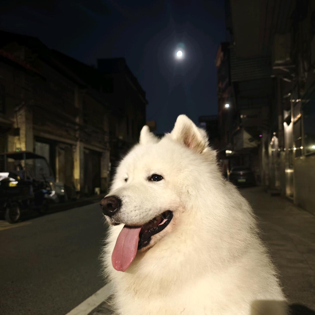 一直开心  ᖰ⌯'▾'⌯ᖳ