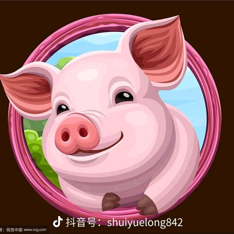 宝弟农家现宰喂粮猪肉