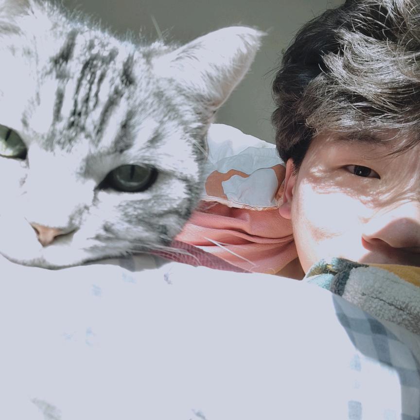 阁下可以叫我菠萝吹雪