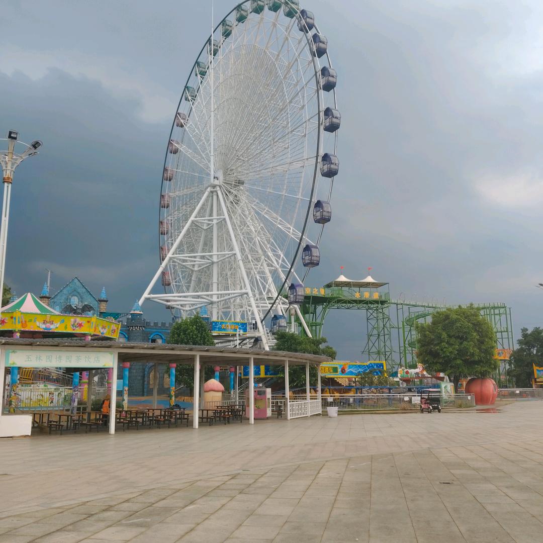 🔥木兰花🌹爱运动跳舞💃姿优美