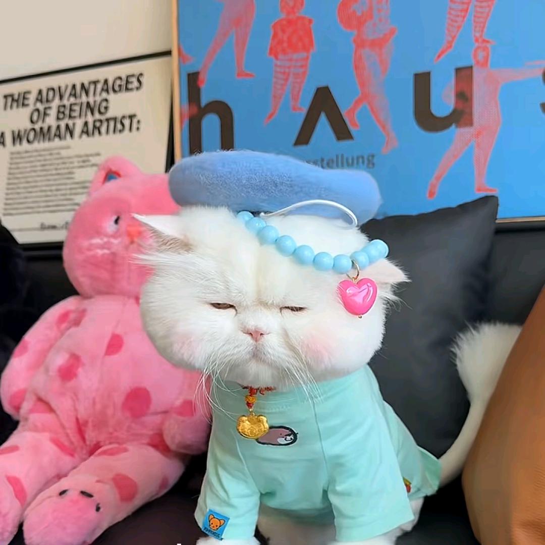 喜欢看母猪亲嘴的尼姑庵少妇