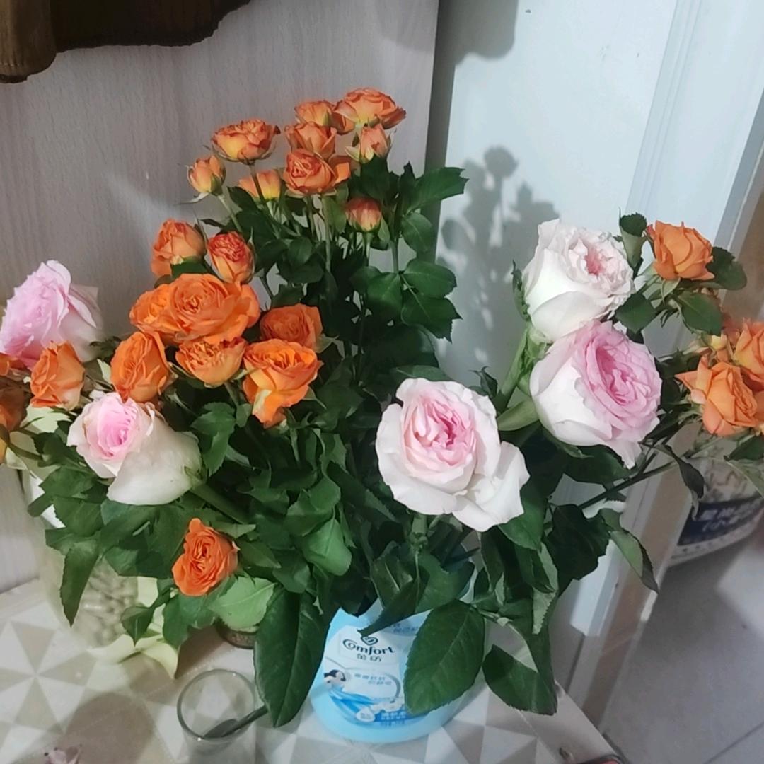 我还是那个我