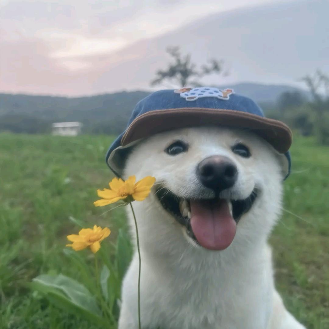 🌈大保镖🌈