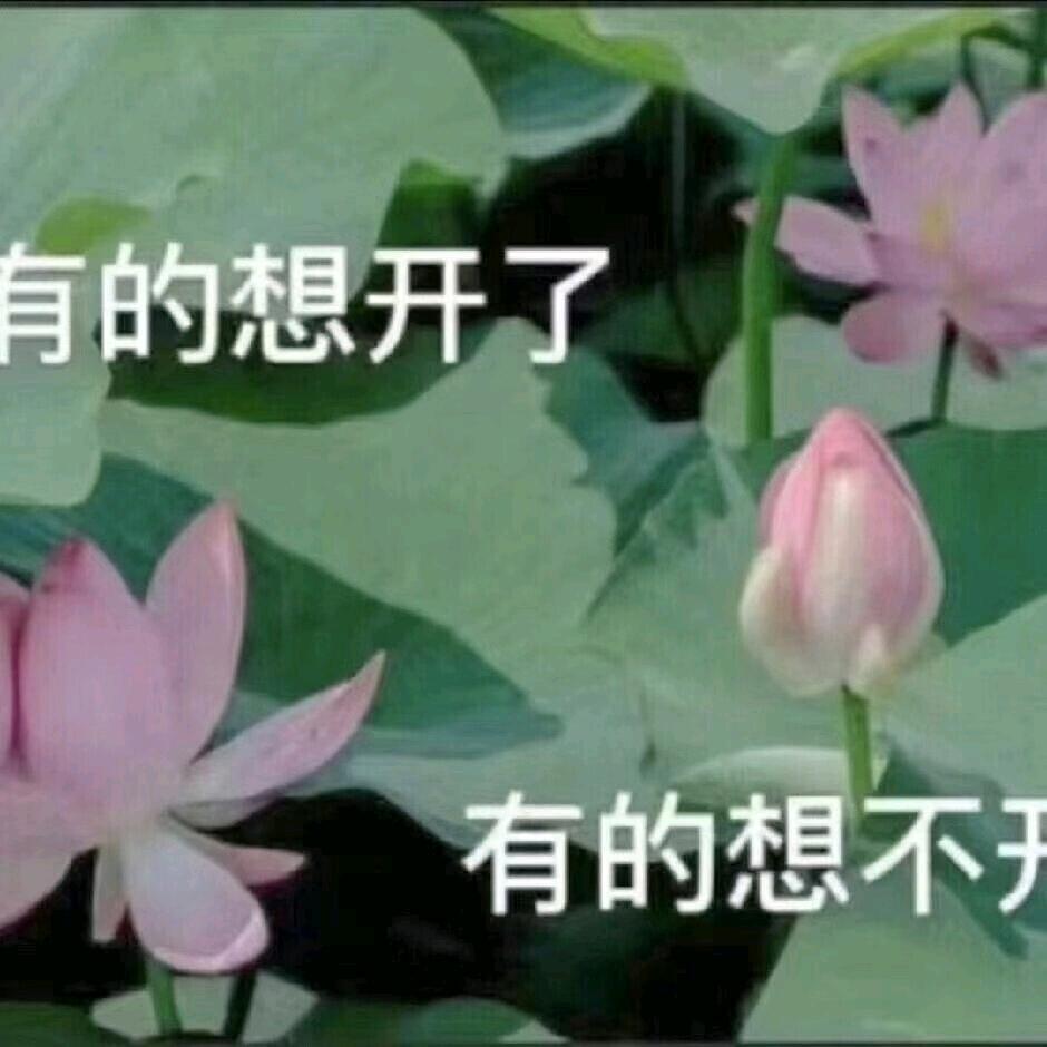 亦曦