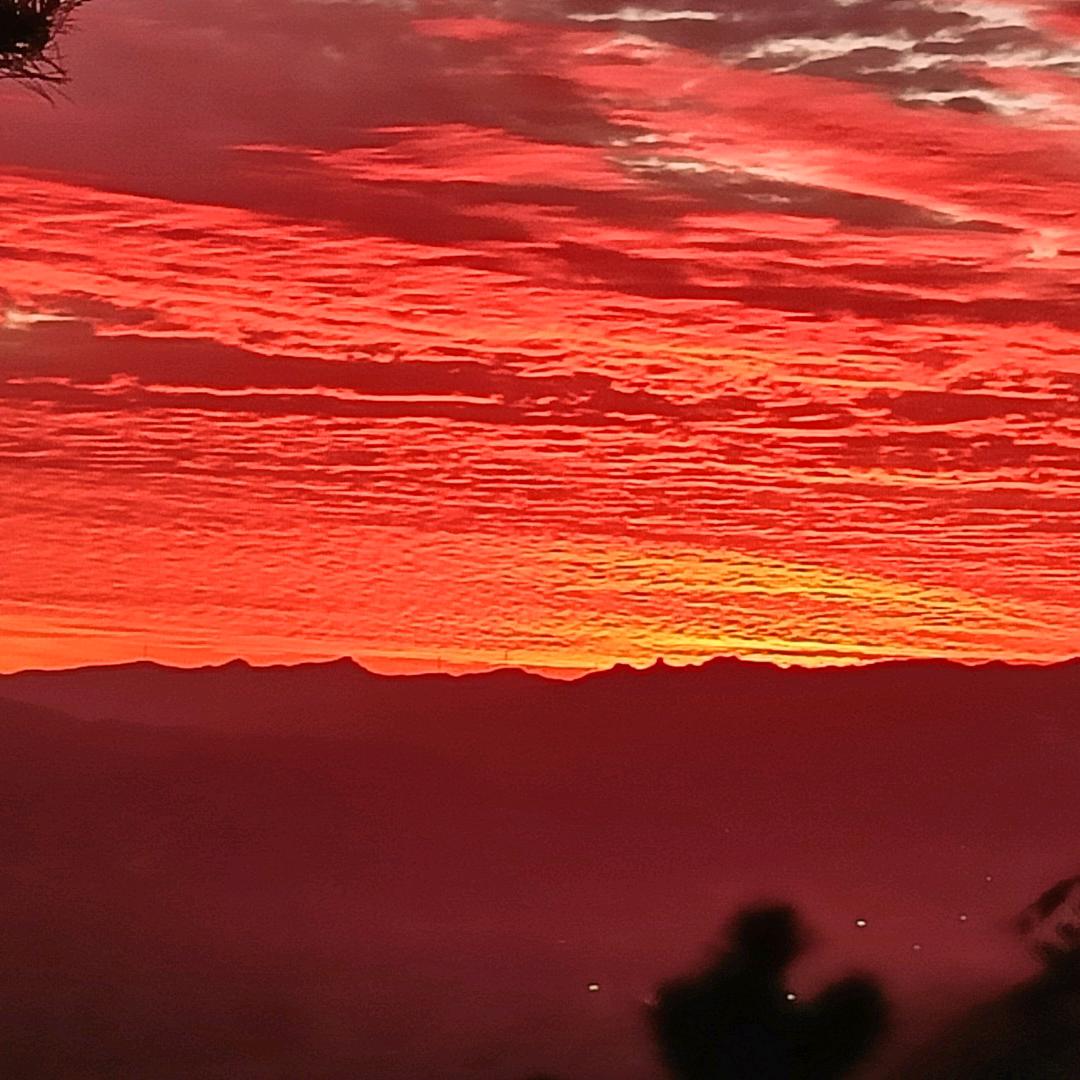 琅姑娘的宝藏屋🏠